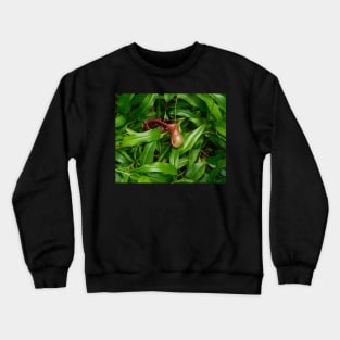 Pitcher Plants Crewneck Sweatshirt